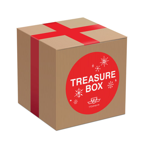 Treasure Mystery Box