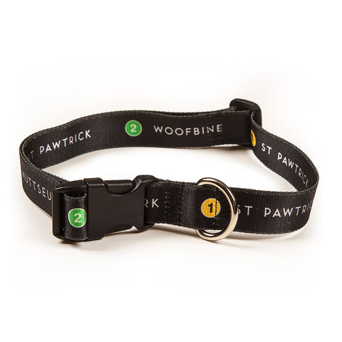 Doggie Station Pet Collar