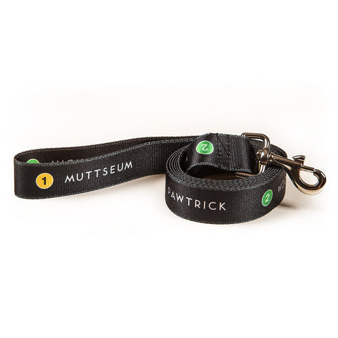 Doggie Station Pet Leash
