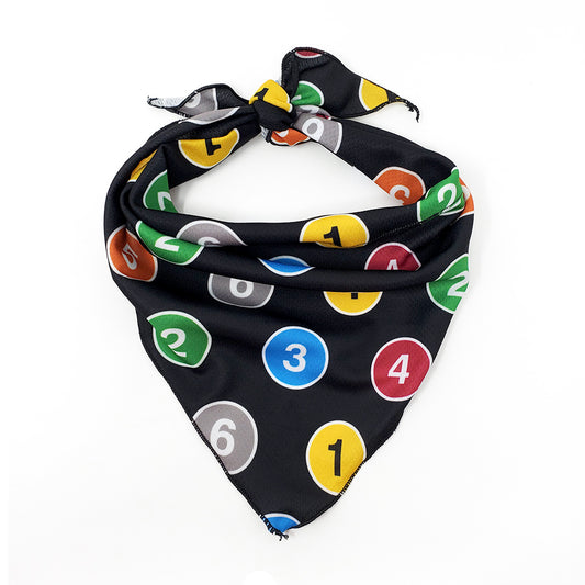 Bandana pour animaux de compagnie TTC