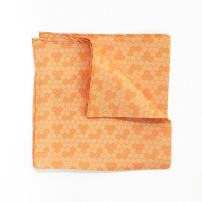 Pochettes de costume en carreaux de gare